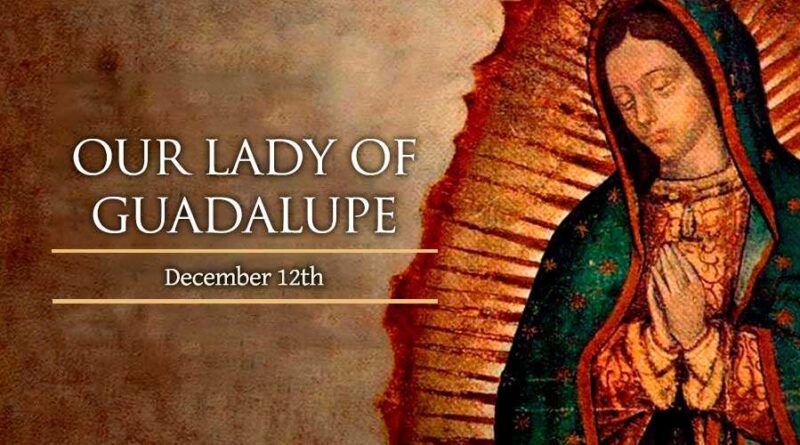 Ten Amazing Facts About The Miraculous Image Of Our Lady Of Guadalupe ...